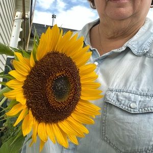 Meet your Posher, Lona